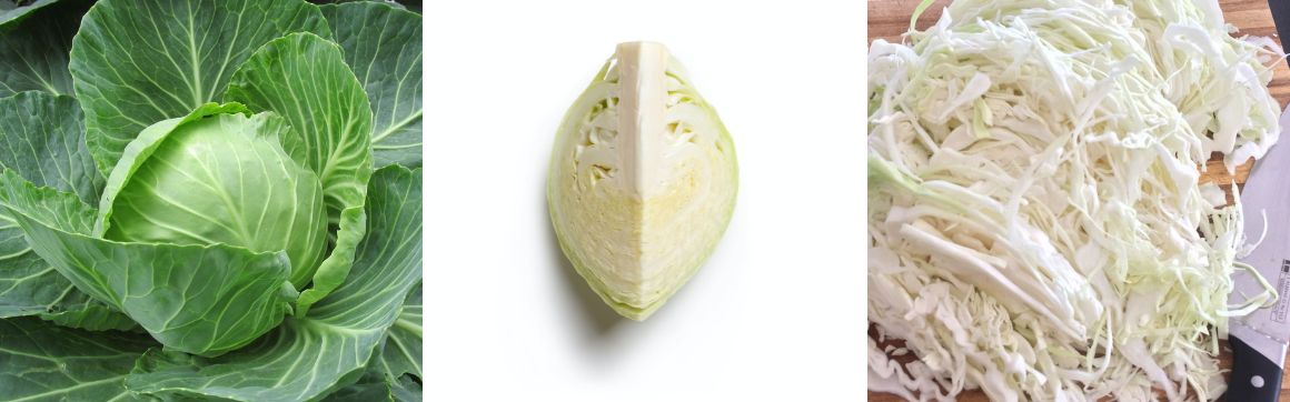 Selbstgemachtes Sauerkraut aus dem Sauerkrautfass - Transoplastshop